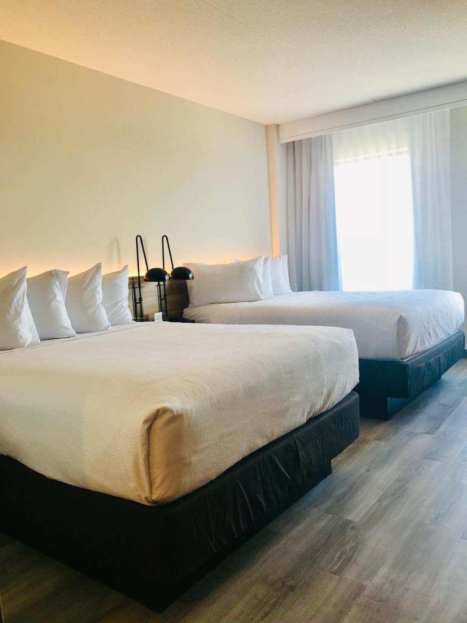 Wyndham Garden Ft Lauderdale Airport & Cruise Port Hotel Dania Beach Ngoại thất bức ảnh